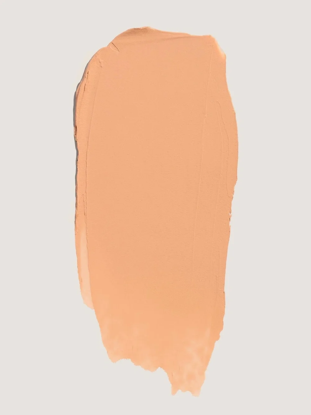No Makeup Makeup Foundation in Light With Brush New In Box